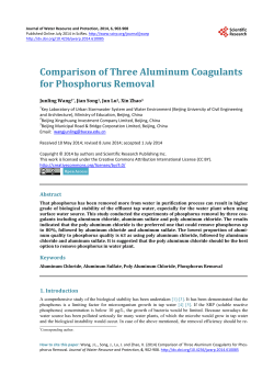 Comparison of Three Aluminum Coagulants for Phosphorus Removal
