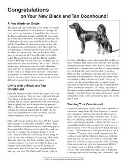 Black and Tan Coonhound