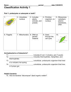 Classification Activity 1