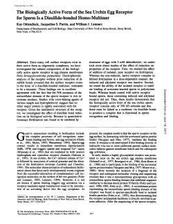 The Biologically Active Form of the Sea Urchin Egg Receptor for