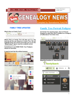 Family Tree Portrait Pedigree - RootsWeb