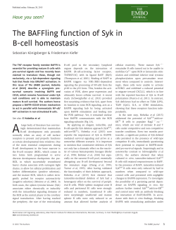 The BAFFling function of Syk in Bcell homeostasis