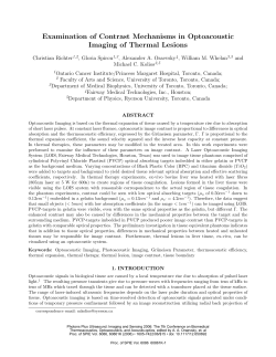 Examination of Contrast Mechanisms in