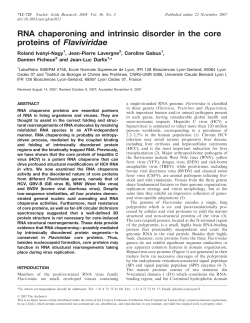 RNA chaperoning and intrinsic disorder in the core proteins of