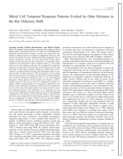 Mitral Cell Temporal Response Patterns Evoked by Odor Mixtures in