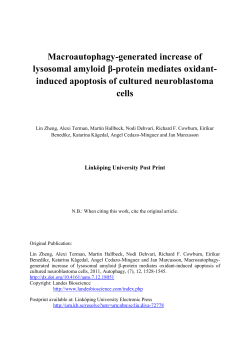 Macroautophagy-generated increase of lysosomal amyloid β