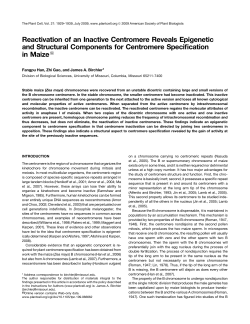 Reactivation of an Inactive Centromere Reveals