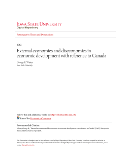 External economies and diseconomies in economic development