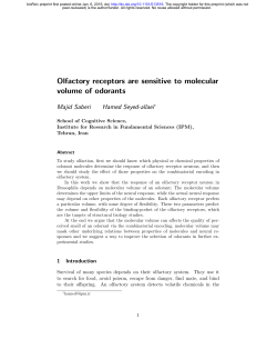 Olfactory receptors are sensitive to molecular volume of