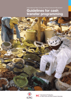 Guidelines for cash transfer