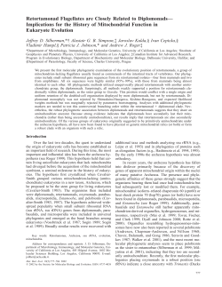 Retortamonad Flagellates are Closely Related to Diplomonads