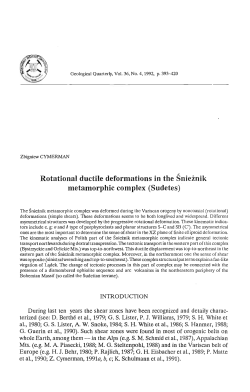 Rotational ductile deformations in the ~nieznik metamorphic complex