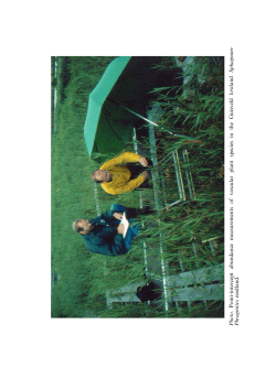 Photo . Point-intercept abundance measurements of vascular plant