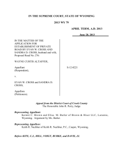 in the supreme court, state of wyoming
