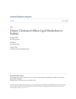 Dietary Cholesterol Affects Lipid Metabolism in Rabbits
