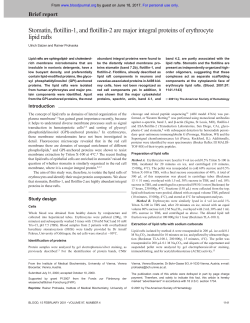 Stomatin, flotillin-1, and flotillin-2 are major integral