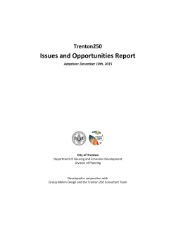 Issues and Opportunities Report