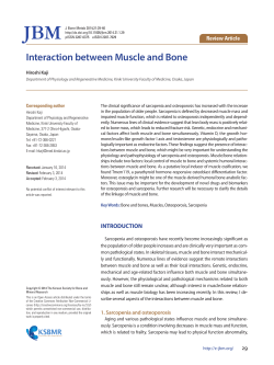 Interaction between Muscle and Bone