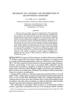 CHLAMYDOMONAS REINHARDP REATMENT of zygotes of