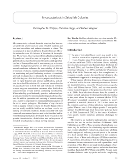 Mycobacteriosis in Zebrafish Colonies