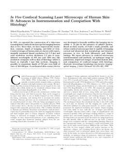 In Vivo Confocal Scanning Laser Microscopy of Human Skin II