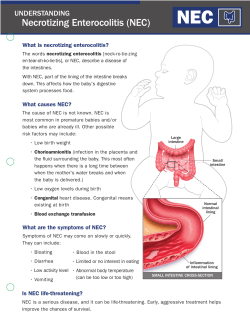 Necrotizing Enterocolitis (NEC) - nicu-pet