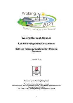 the Hot Food Takeaway SPD PDF file