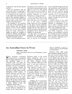 An Australian Grass in Texas - Journals at the University of Arizona