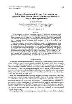 Influence of Atmospheric Oxygen Concentration on