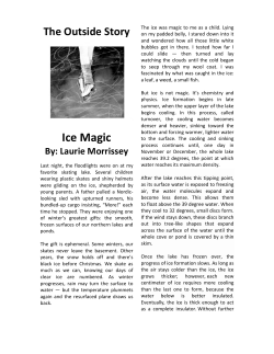 The Outside Story - Northern Woodlands