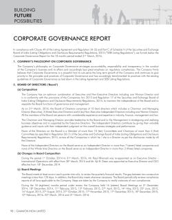 corporate governance report