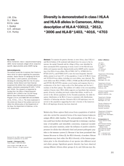 Diversity is demonstrated in class I HLA-A and HLA