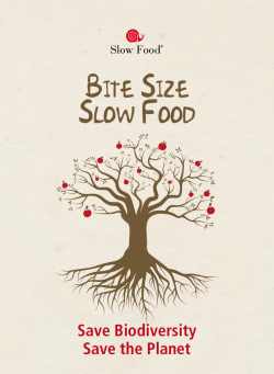 Bite Size Slow Food - Slow Food International