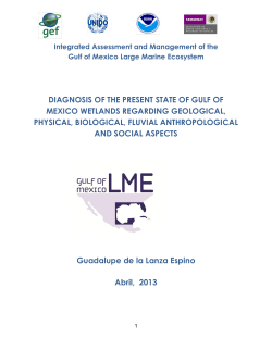 Diagnosis of the present state of Gulf of Mexico wetlands regarding
