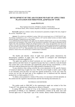 DEVELOPMENT OF THE ABAVEGROUND PART OF APPLE TREE
