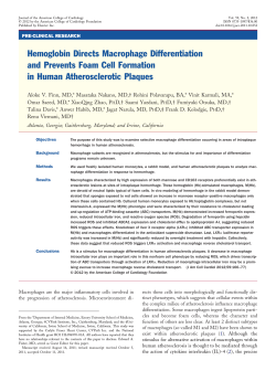 Hemoglobin Directs Macrophage Differentiation and Prevents Foam