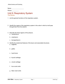 Unit 9: Respiratory System