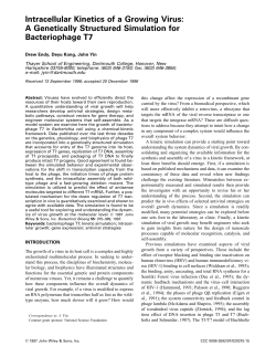 Intracellular Kinetics of a Growing Virus: A Genetically
