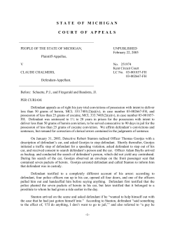 state of michigan court of appeals
