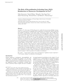 The Role of Recombination Activating Gene (RAG)