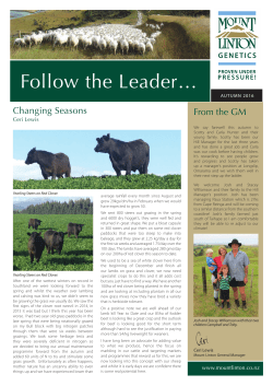 Autumn Newsletter 2016