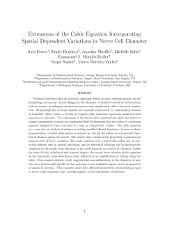 Extensions of the Cable Equation Incorporating Spatial - MTBI