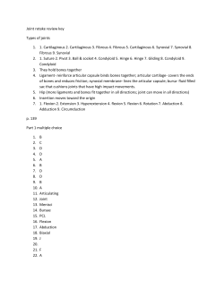 Joint retake review key Types of joints 1. 1. Cartilaginous 2
