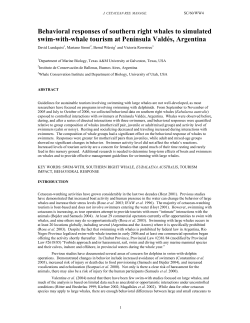 Behavioral responses of southern right whales to simulated swim