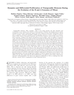 Dynamics and Differential Proliferation of Transposable