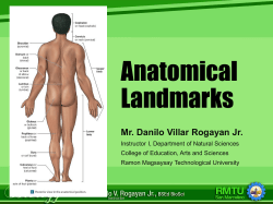 Anatomical Landmarks