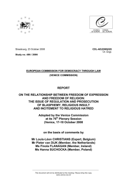 report on the relationship between freedom of expression