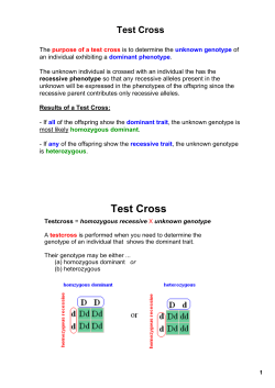 GENETICS Test Cross 2