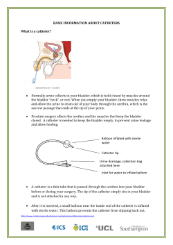 BASIC INFORMATION ABOUT CATHETERS What is a catheter