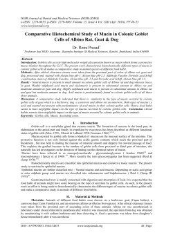 Comparative Histochemical Study of Mucin in Colonic Goblet Cells